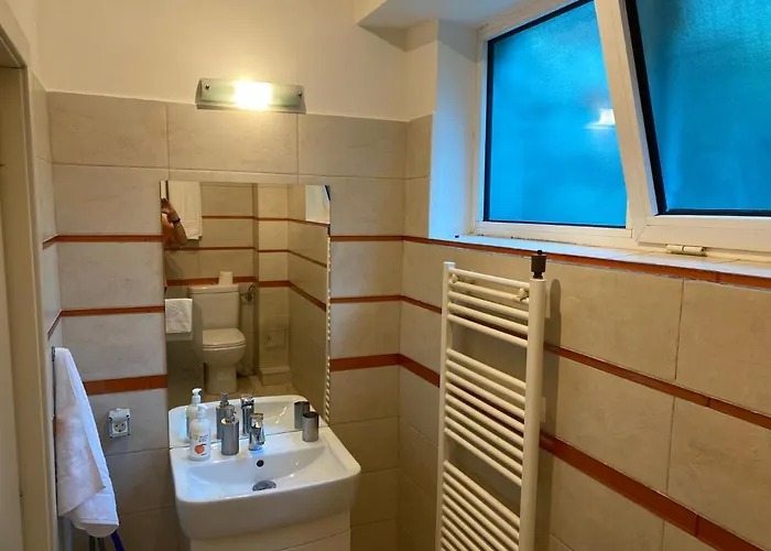 Free Parking Downtown Boutique Garden Unirii Apartament *