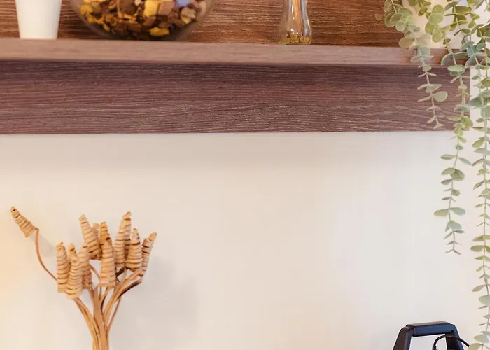 公寓 Free Parking Downtown Boutique Garden Unirii 布加勒斯特